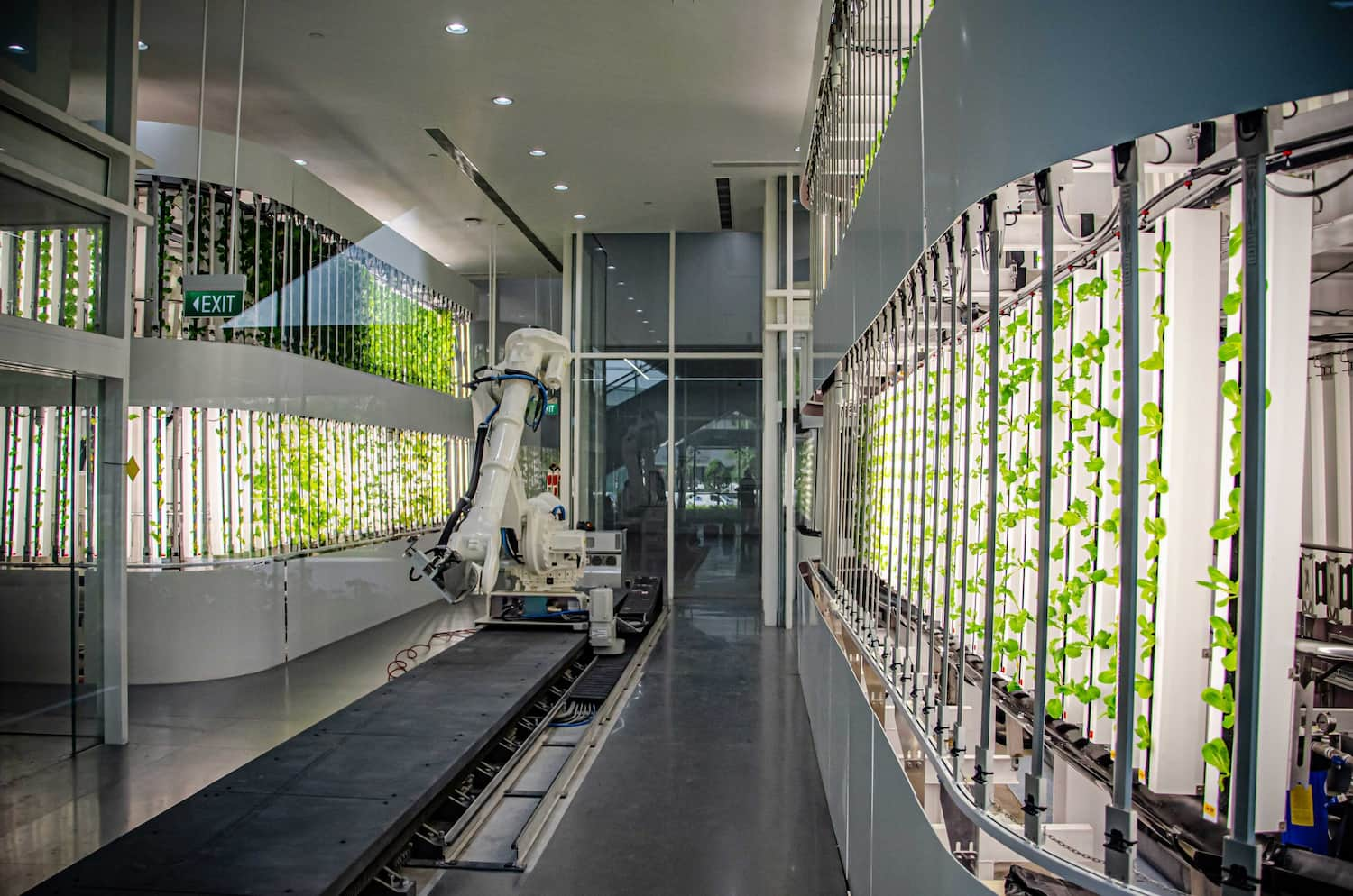 HOPE Technik Robot developed for indoor farming automation