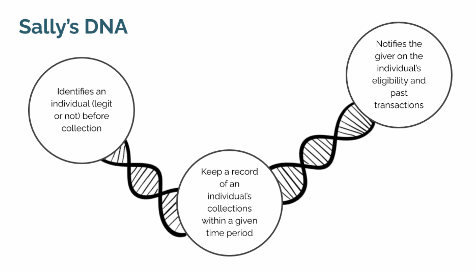 Sally's DNS and how it works