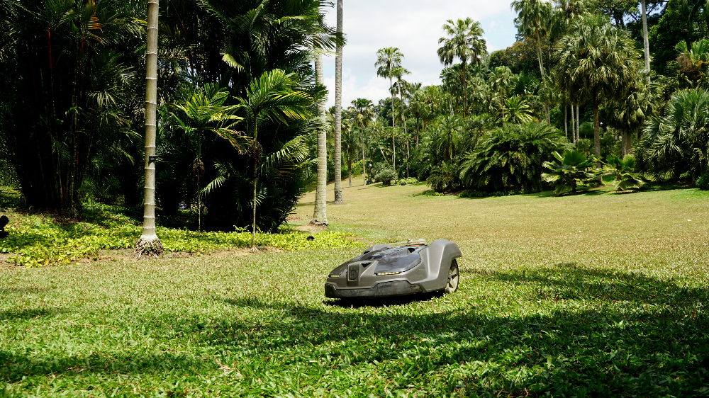 Robotic grass mower NParks